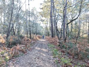 2023.12.03 Trail Saint Palais (2)